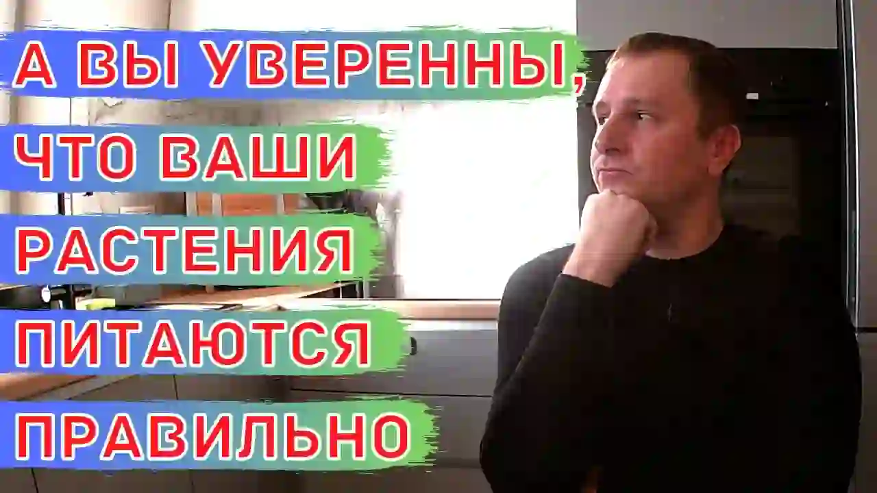 Сергей Бирюков и заставка его видео про питание растений.